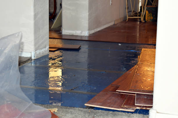 Professional Burst Pipe Cleanup technician working in Roslindale, MA